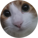Dana Fakih profile picture