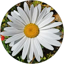 Derly J profile picture